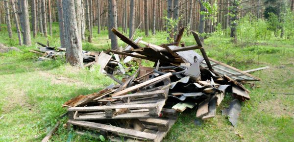 Debris Removal Service in Orange Park